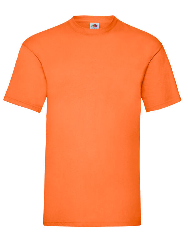 Mens Valueweight T-Shirt