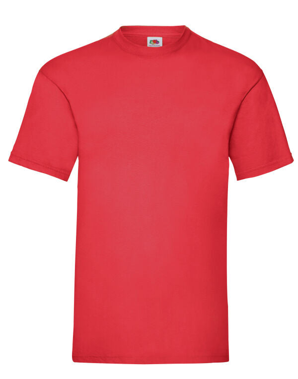 Mens Valueweight T-Shirt