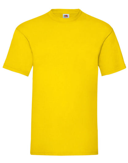 Mens Valueweight T-Shirt